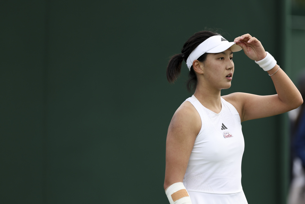 提供了参考 提供了参考